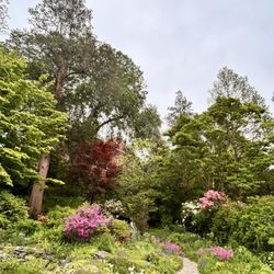 The Botanic Garden of Smith College