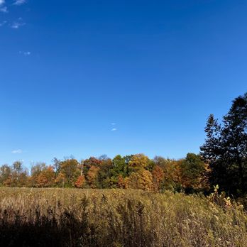 Sweet Arrow Reserve - Parks Near Me - Sugarcreek Township, Ohio Sweet Arrow Reserve - Parks Near Me - Sugarcreek Township, Ohio