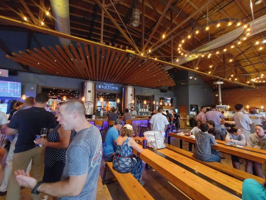 Elation Brewing by null