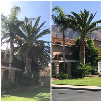 Greatland Landscape - Before and after! - Landscaping Near Me - Corona, California Greatland Landscape - Before and after! - Landscaping Near Me - Corona, California