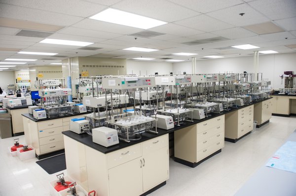 Pace Analytical Services