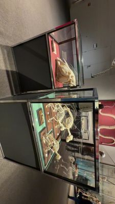 Memphis Museum of Science & History by null