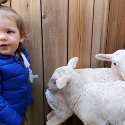 Anna's Child Care, Preschool & Yoga Center