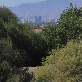 Henderson Bird Viewing Preserve - Strip view - Parks Near Me - Henderson, Nevada Henderson Bird Viewing Preserve - Strip view - Parks Near Me - Henderson, Nevada