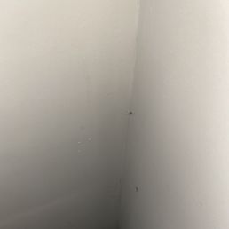 Huge spider just hanging out