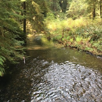 Prairie Creek Redwoods State Park - Prairie Creek - Parks Near Me - Orick, California Prairie Creek Redwoods State Park - Prairie Creek - Parks Near Me - Orick, California