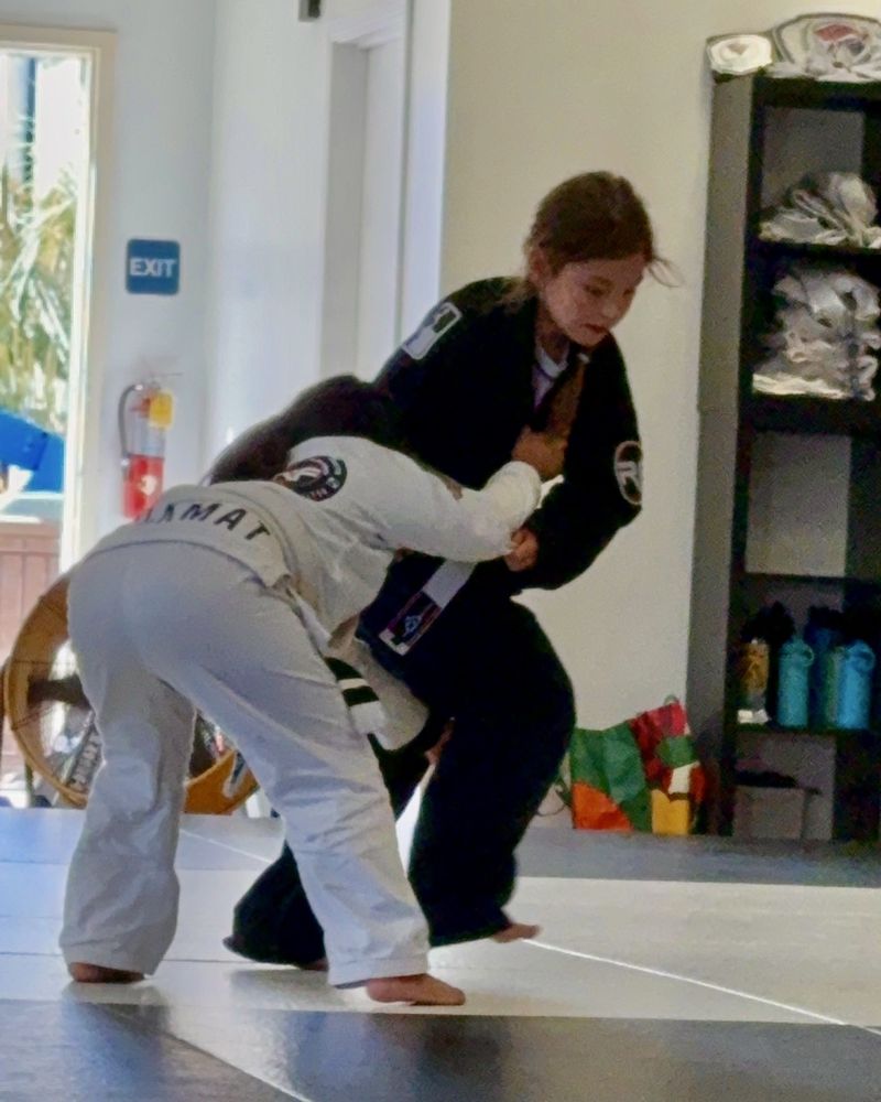 Ricardo Feliciano Brazilian Jiu Jitsu Logo