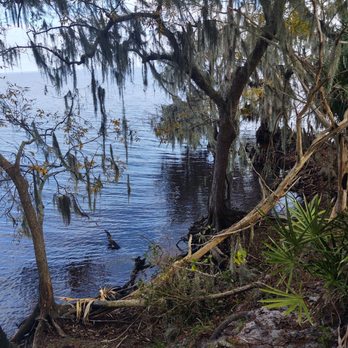 Silver Glen Springs - Lake George from the trail - Parks Near Me - Salt Springs, Florida Silver Glen Springs - Lake George from the trail - Parks Near Me - Salt Springs, Florida