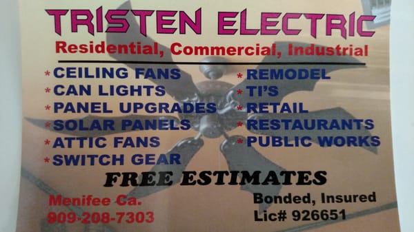 Tristen Electric Logo