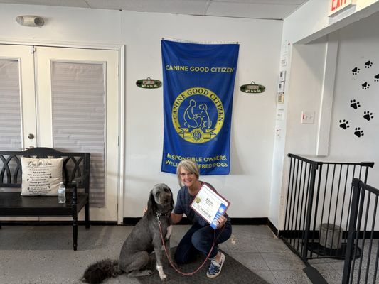 Sit Means Sit West Houston