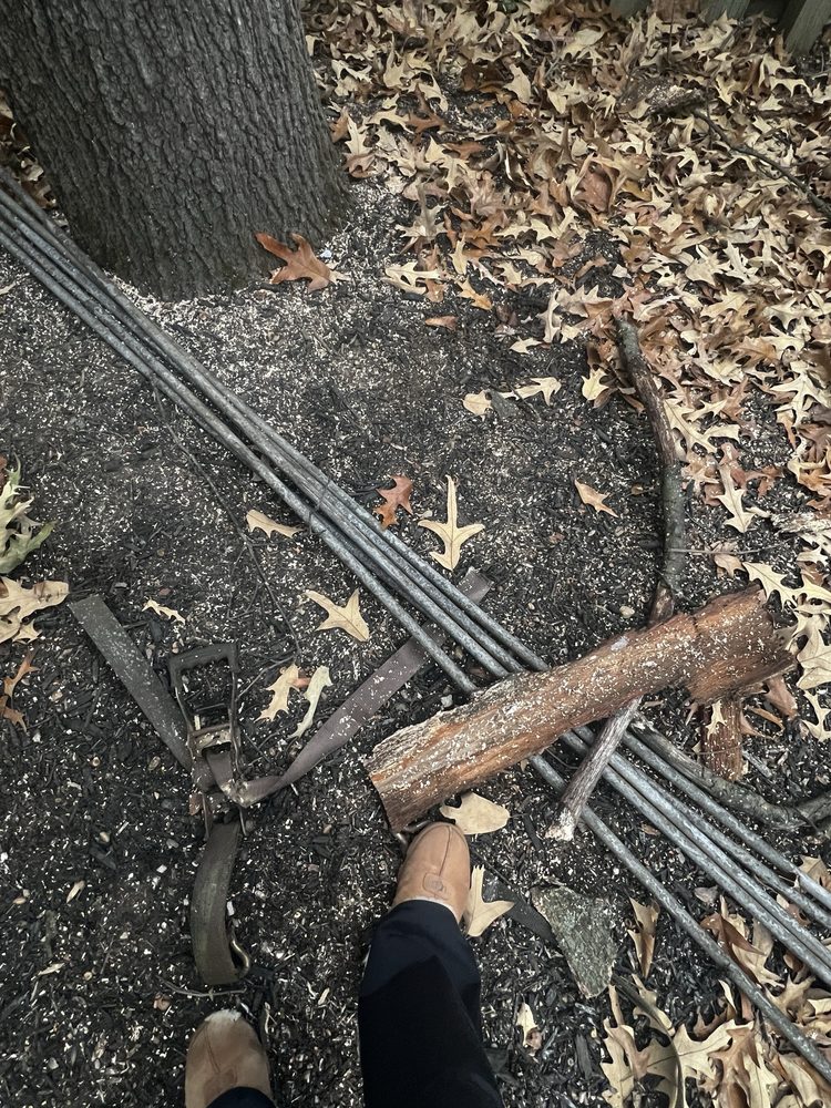 Arundel Tree Service - tree service in Pasadena, MD