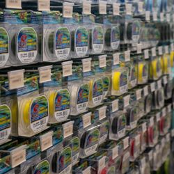 Tarpon Fishing Outfitters