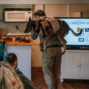 Huffman K9 Obedience - Pet Training Near Me