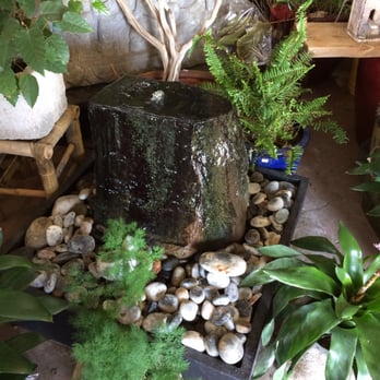 Exotic Plants - Nurseries & Gardening Near Me - Sacramento, California Exotic Plants - Nurseries & Gardening Near Me - Sacramento, California