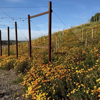 Bistro 1969 - Gorgeous location in February - Bars Near Me - Temecula, California