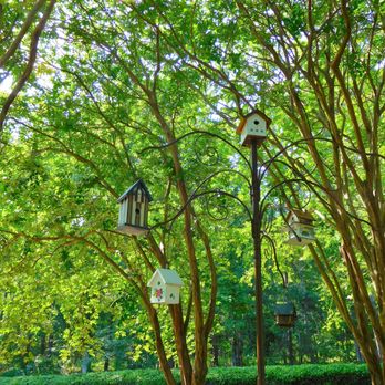 Vines Park - Houses for the birds - Lakes Near Me - Loganville, Georgia
