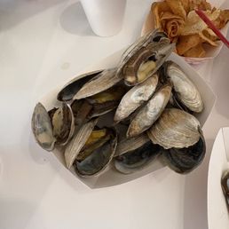 Steamers