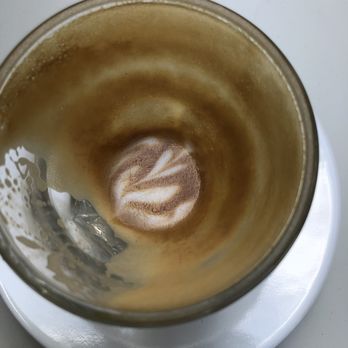 Elevation Coffee Roasters - Cortado - Coffee Roasteries Near Me - Tampa, Florida