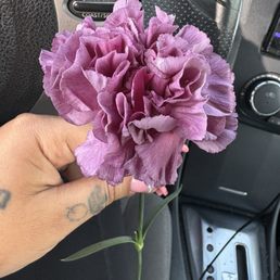 A flower that the Christian brothers gave me when I picked up my vehicle