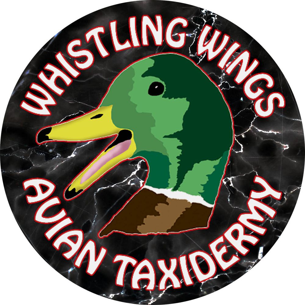 Whistling Wings Avian - taxidermy in Sparks, NV