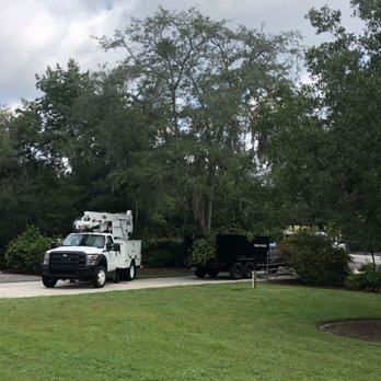 Legner Tree Care - Tree Services Near Me Legner Tree Care - Tree Services Near Me