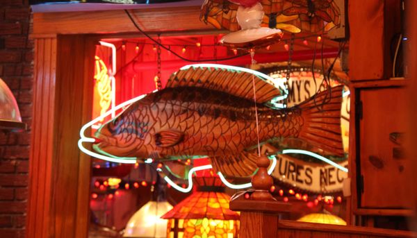 Sammy's Fish Box by null