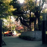 世田谷の森⭐︎ 三宿の森緑地 | 世田谷区公式ホームページ