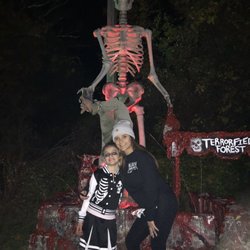 Terrorfied Forest