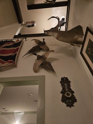 The Manchester Arms by null