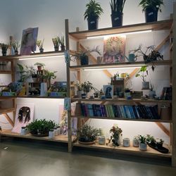 A Pot To Plant In