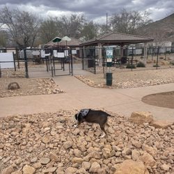 Dog Town Dog Park