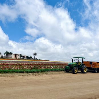 The Flower Fields - Wagon ride - Venues & Event Spaces Near Me - Carlsbad, California The Flower Fields - Wagon ride - Venues & Event Spaces Near Me - Carlsbad, California