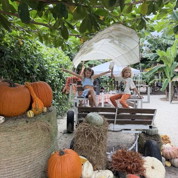 Tinez Farms - Attraction Farms Near Me - Miami, Florida Tinez Farms - Attraction Farms Near Me - Miami, Florida