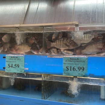 City Farmers Market - Duluth - Fish - Farmers Market Near Me - Duluth, Georgia