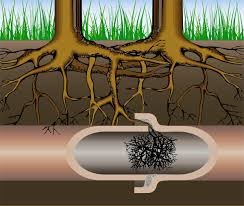 Slide of Drain Cleaners