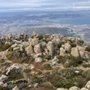 Photo of iWander Tasmania