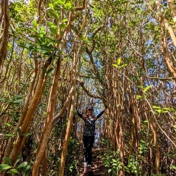 Tripler Ridge - Hiking Near Me - Honolulu, Hawaii