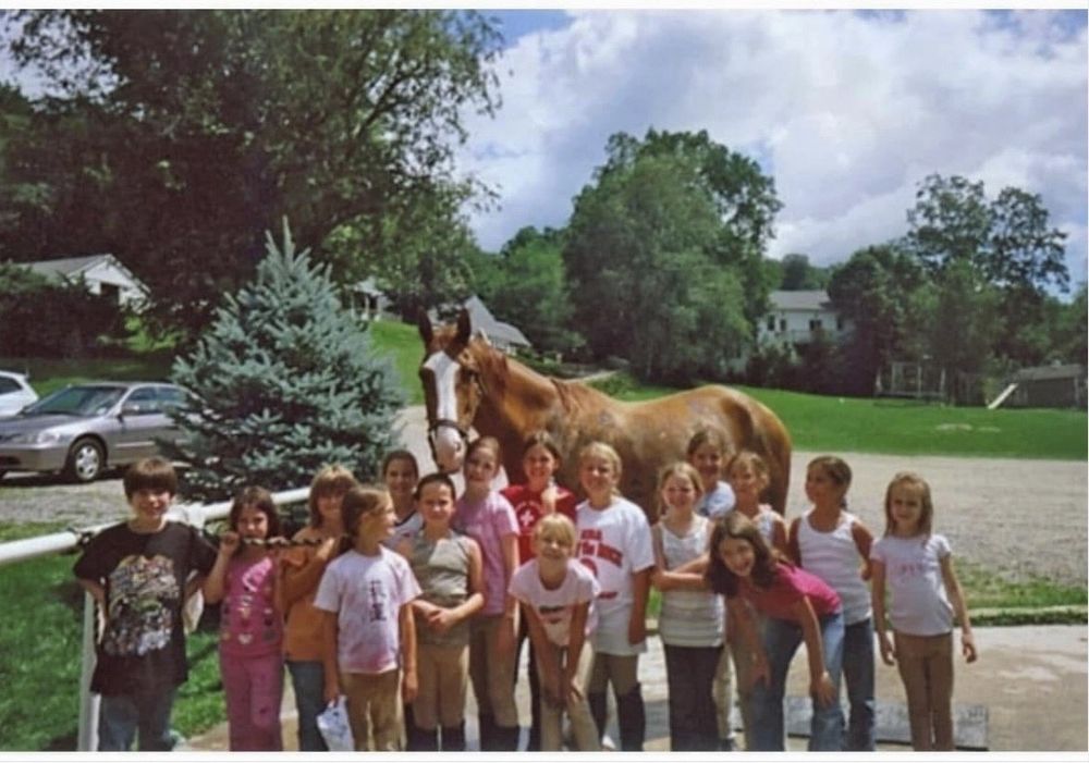Stepping Stone Farm - equestrian in Ridgefield, CT