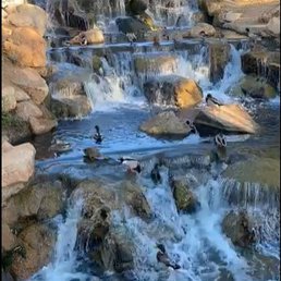 Waterfall near cool bridge