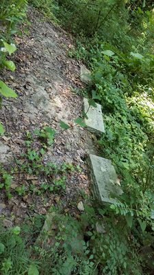 Evergreen Cemetery by null