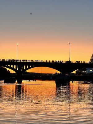 Lone Star Riverboat by null