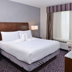 Hilton Garden Inn Hobbs - Guest room