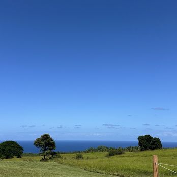The Umauma Experience - View from the top of the - Ziplining Near Me - Hakalau, Hawaii The Umauma Experience - View from the top of the - Ziplining Near Me - Hakalau, Hawaii