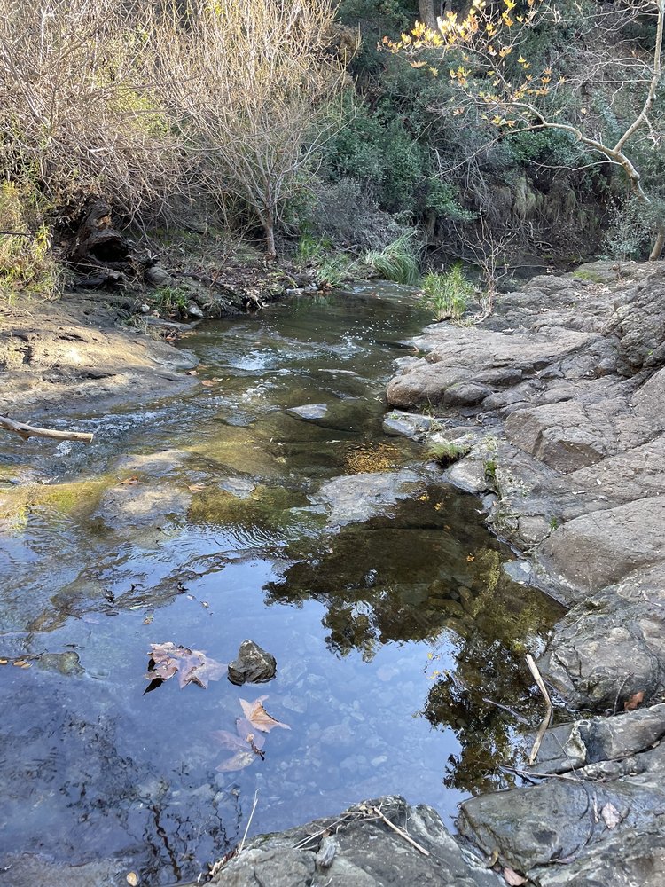 Photo of Paradise Falls