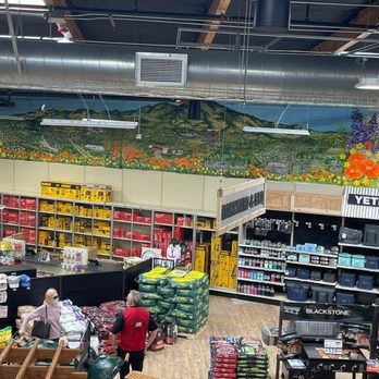 San Ramon Ace Hardware - Love the mural - Hardware Stores Near Me - San Ramon, California San Ramon Ace Hardware - Love the mural - Hardware Stores Near Me - San Ramon, California