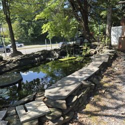 Stanley's Produce and Bakery - Koi pond.