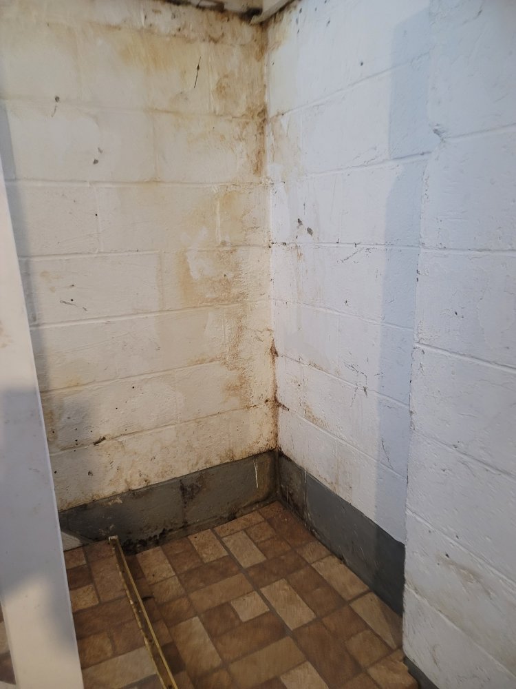 Slide of Detroit Rescue My Home