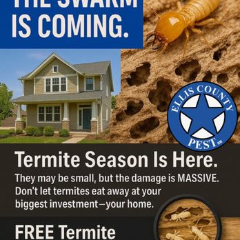 Ellis County Pest Services - Termites - Pest Control Near Me Ellis County Pest Services - Termites - Pest Control Near Me