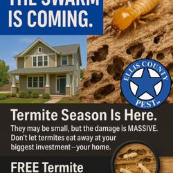 Ellis County Pest Services - Termites