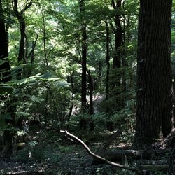Paul Yost Recreational Area Of The Jefferson Memorial Forest